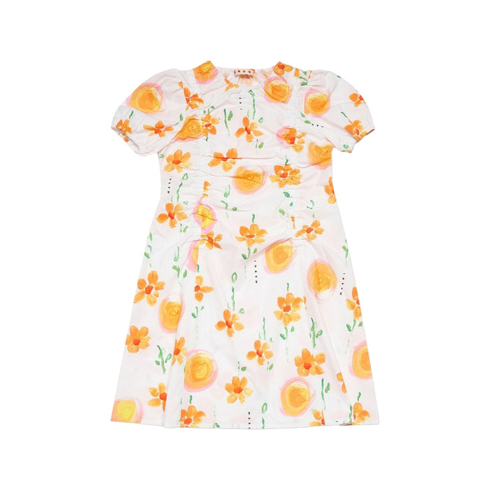 Sunny Day Floral Print Poplin Dress