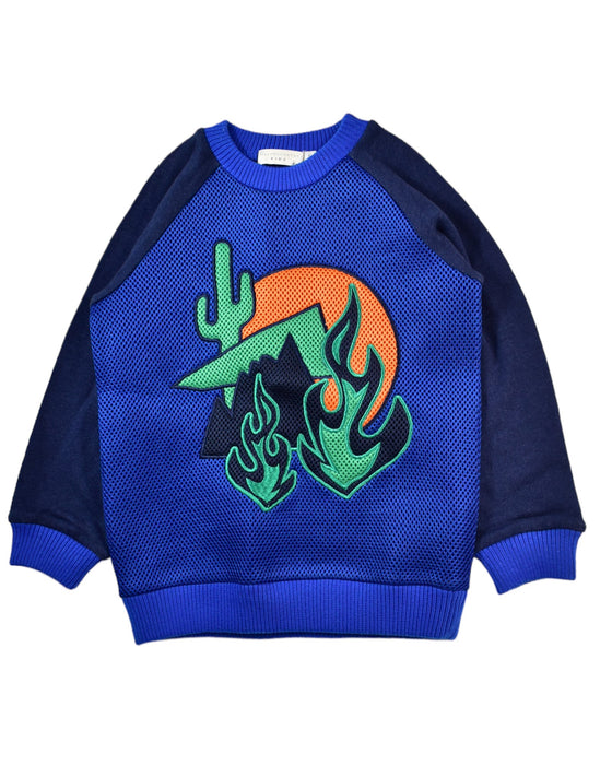 A Blue Crewneck Sweatshirts from Stella McCartney in size 4T for boy. (Front View)