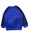 A Blue Crewneck Sweatshirts from Stella McCartney in size 4T for boy. (Back View)