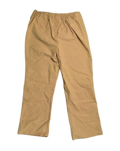A Brown Casual Pants from Thyme in size M for maternity. (Front View)