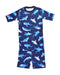 A Blue Pyjama Sets from Hanna Andersson in size 12Y for boy. (Front View)