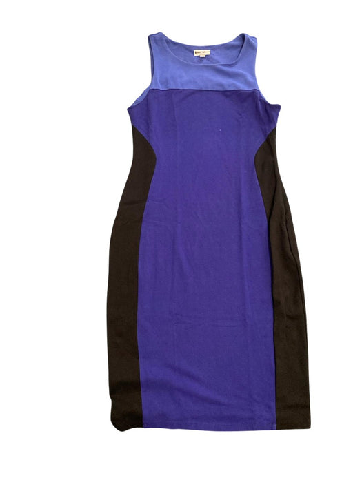 A Blue Sleeveless Dresses from A Pea in the Pod in size S for maternity. (Front View)