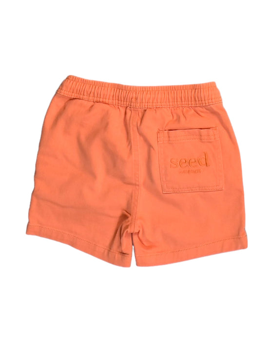 A Orange Shorts from Seed in size 5T for girl. (Back View)