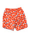 A Multicolour Swim Shorts from Hanna Andersson in size 12Y for boy. (Back View)