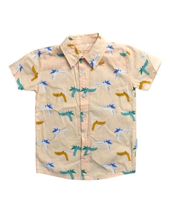 A Multicolour Short Sleeve Shirts from Sea Apple in size 4T for boy. (Front View)