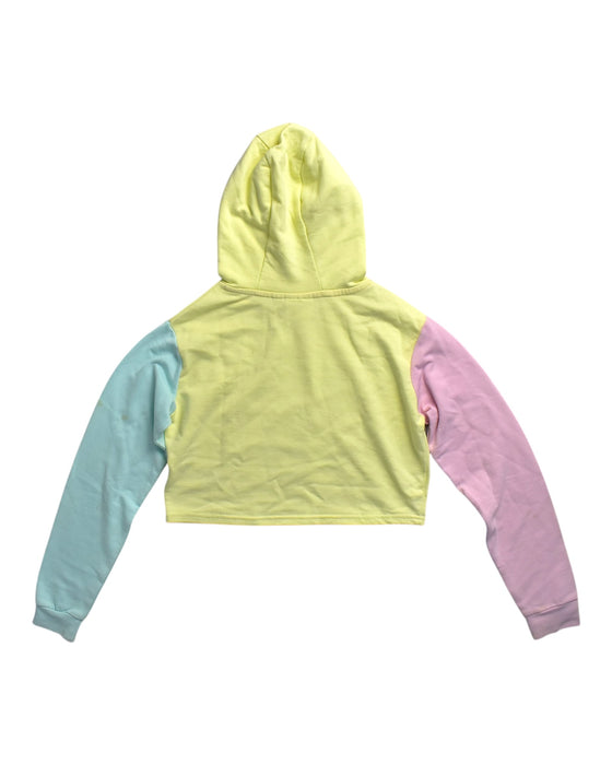 A Multicolour Hooded Sweatshirts from ELLE in size 11Y for girl. (Back View)